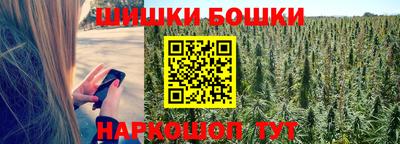 спиды Аргун