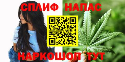 спиды Аргун