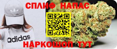 спиды Аргун