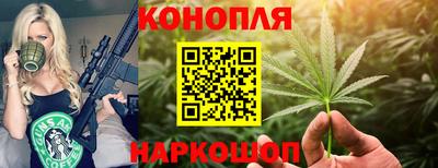 гашик Апшеронск